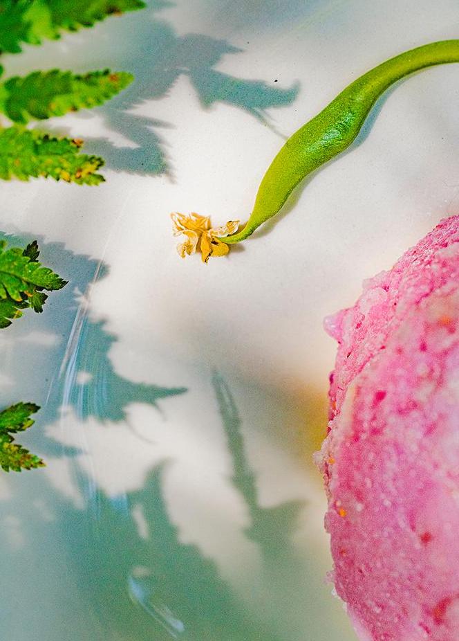 Fern leaves and a pink textured surface with a small yellow flower